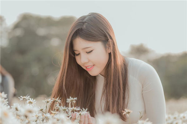 樱花草视频在线观春高清版
