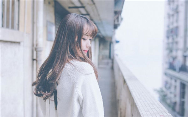 野花在线观看免费观看