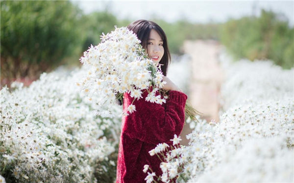 xl上司带翻译樱花动漫带翻译免费