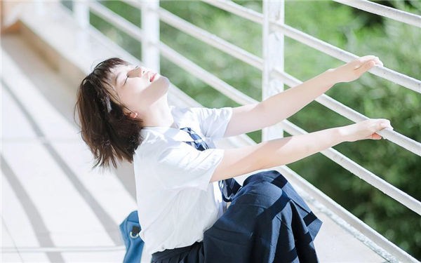 野花社区大全免费观看