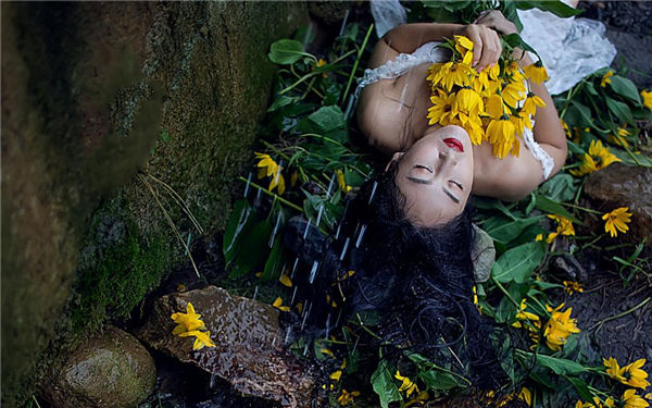 一个人在线高清全视频