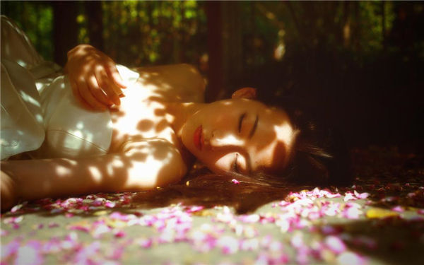 爱情鸟在线观看视频