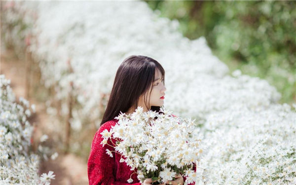 樱花草在线观看播放视频www免费全集观看