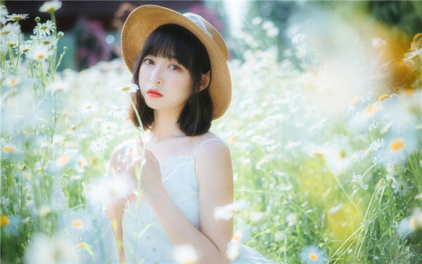 野花社区高清在线观看视频