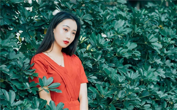 yellow在线观看免费动漫