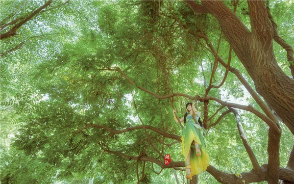 忘忧草曰本社区www在线