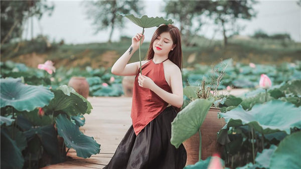 梅花视频不限次数看花钱么