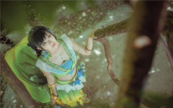 野花视频在线观看免费高清版