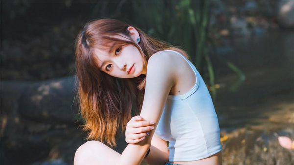 狼群视频在线高清免费观看