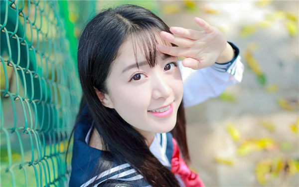 狼群影视高清视频免费