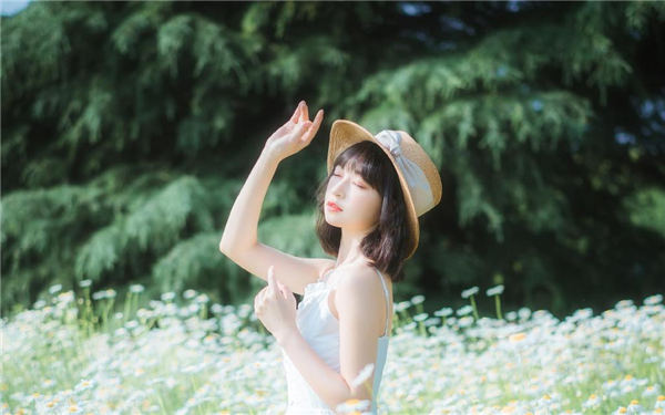 樱花草高清视频在线观看