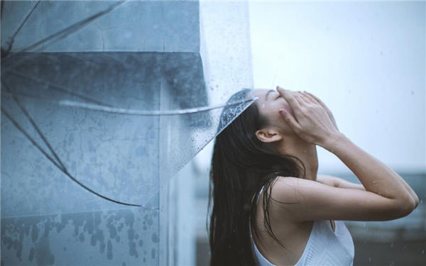 狼群资源在线观看