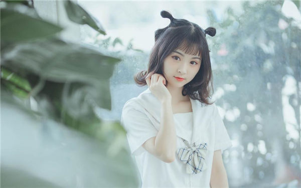 菠萝菠萝蜜高清在线视频观看免费
