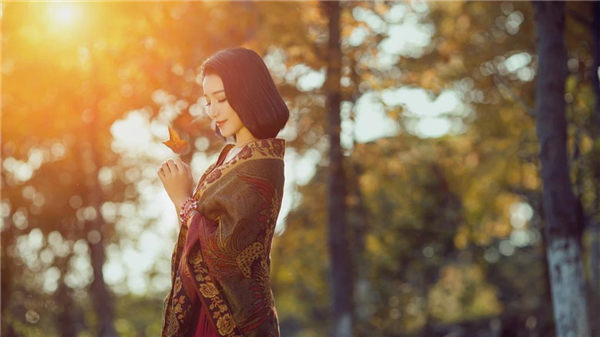 樱花草视频在线观看高清免费