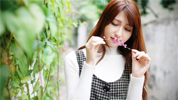 樱花草视频在线观看高清