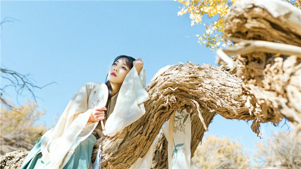 两个人曰本高清