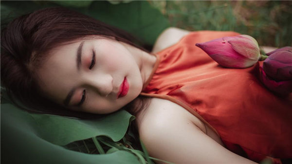 野花在线观看免费观看高清中文