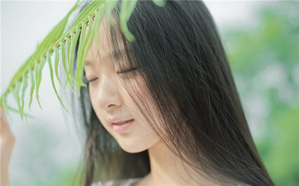 樱花草免费视频在线观看