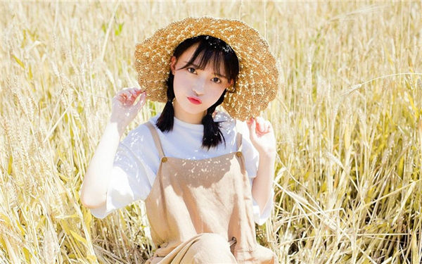 野花视频在线观看免费高清版