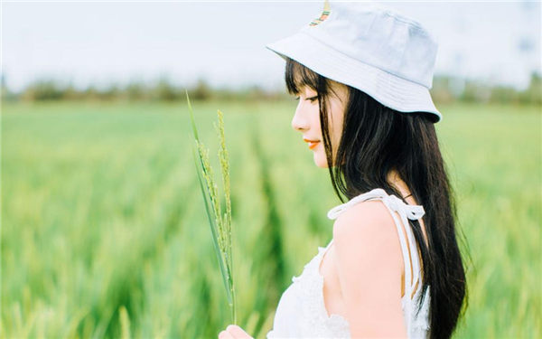 野花视频免费观看在线播放www