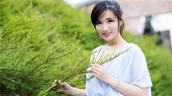 樱花草视频在线观看免费播放