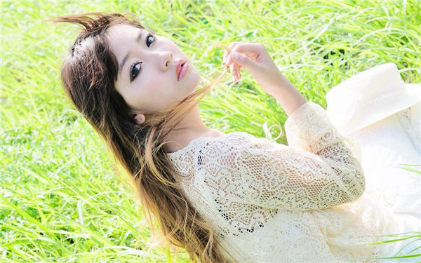 野花在线观看免费观看高清