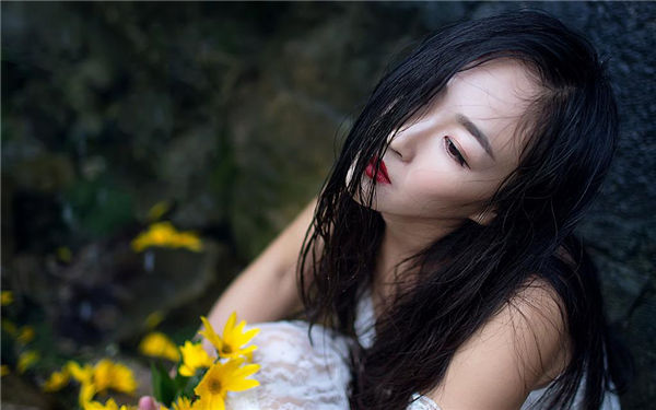 狼群视频在线观看免费播放