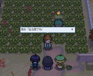 pokemmo合众攻略 pokemmo合众一二周目图文通关攻略[多图]图片6