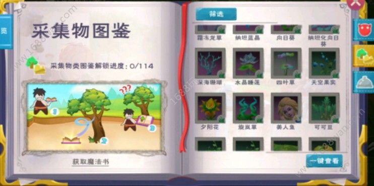 创造与魔法苍穹幻龙饲料是什么？苍穹幻龙饲料介绍[多图]图片3