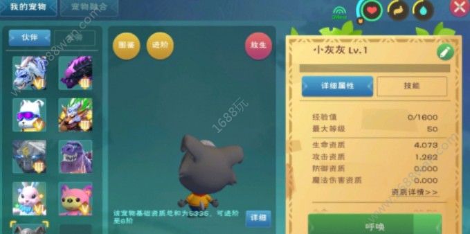 创造与魔法小灰灰技能是什么？小灰灰技能介绍[多图]图片3