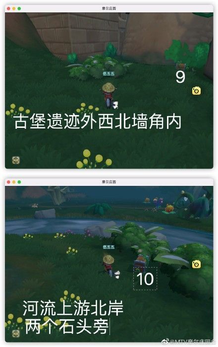 摩尔庄园凯文老师的特训攻略 凯文老师的特训任务完成方法[多图]图片5